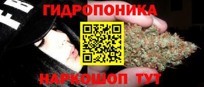 тгк Рыбинск