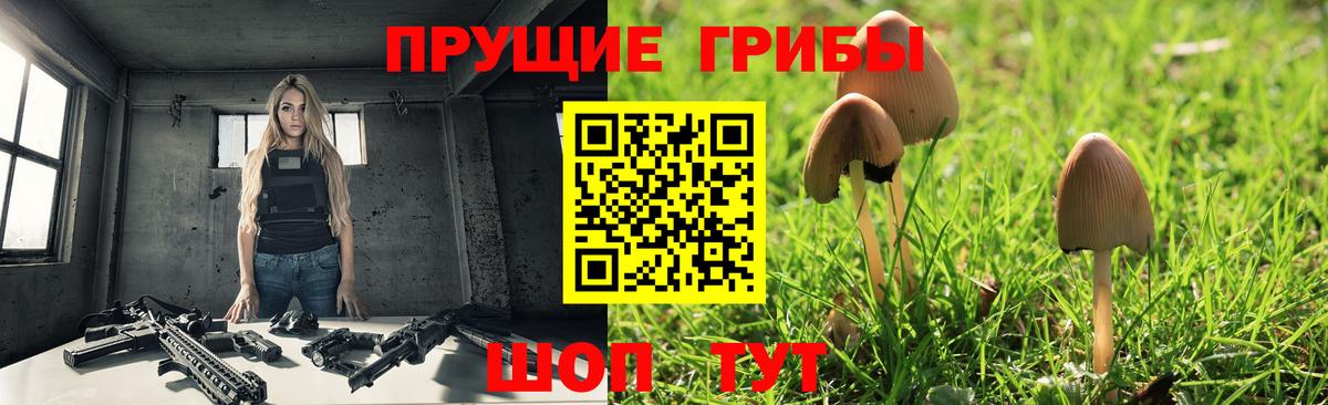 Галлюциногенные грибы прущие грибы Сергиев Посад
