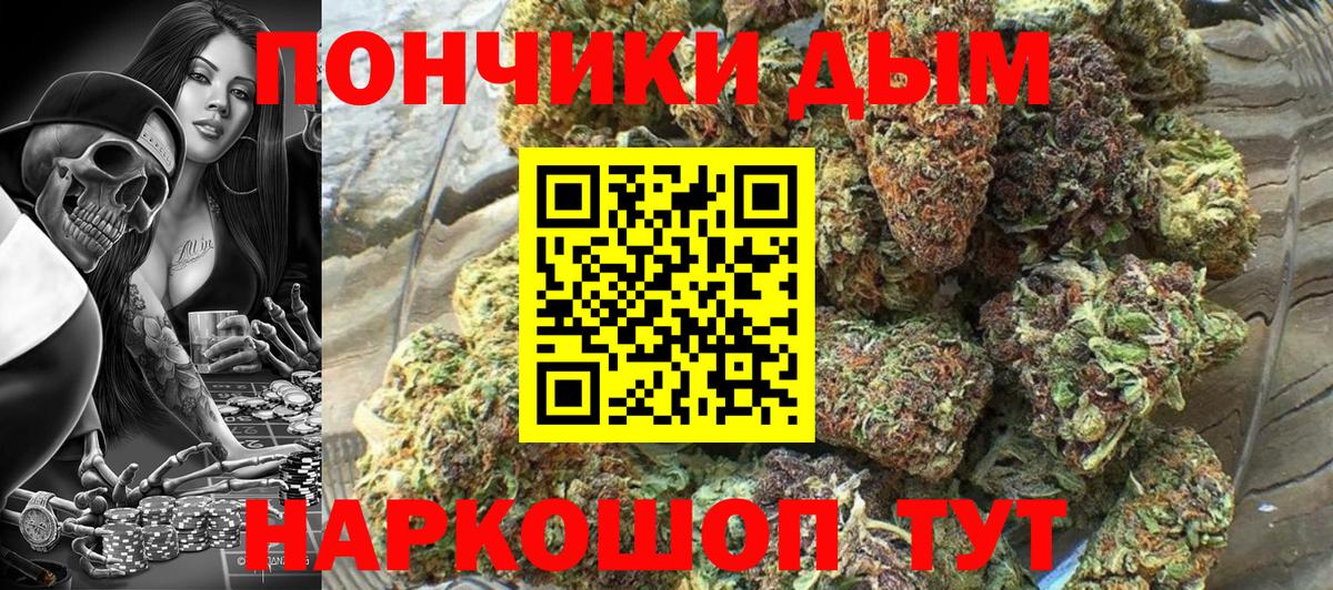 Бошки Шишки семена Сергиев Посад